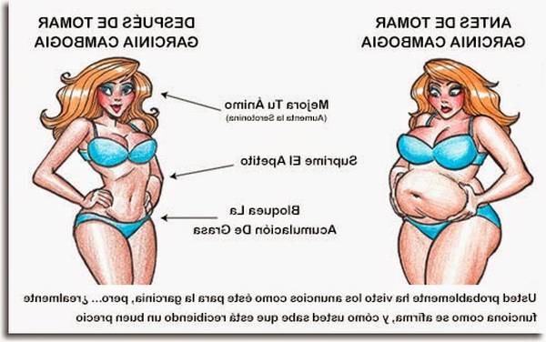 Nuestra opinion cientifica sobre garcinia cambogia